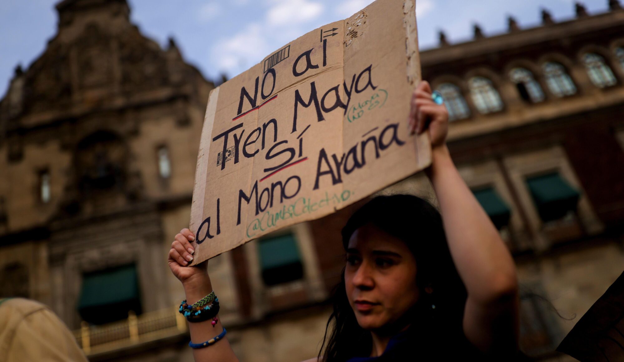 A woman holds up a sign saying "No to the Mayan train, yes to the spider monkey".
