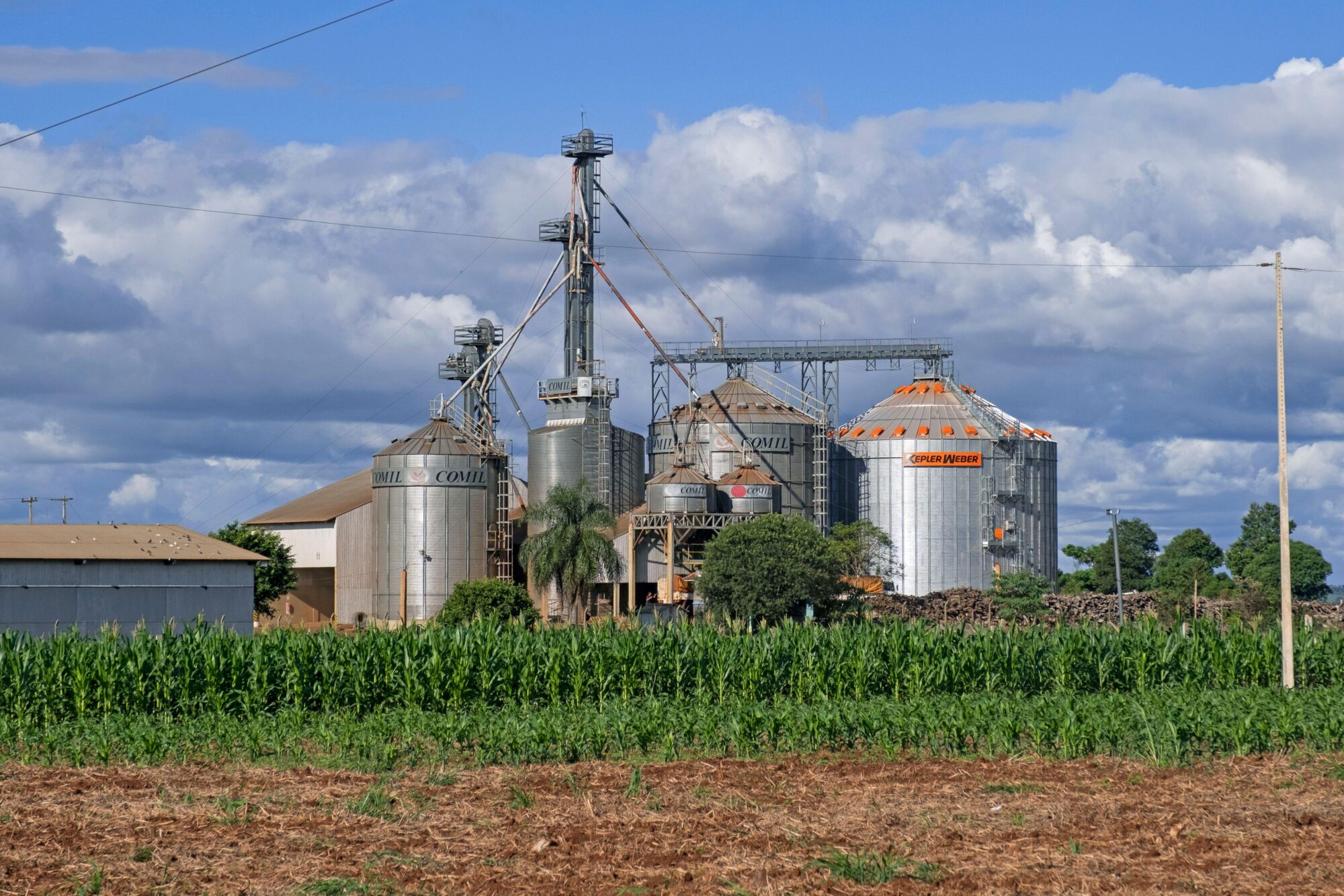 <p>Soybean silos in Paraguay, where a new biofuel plant will use this crop, among other inputs. Although the government and the company in charge say soy will not be sourced from deforested areas, environmentalists do not trust the sustainability promises of the project. (Image: van der Meer Marica / Alamy)</p>