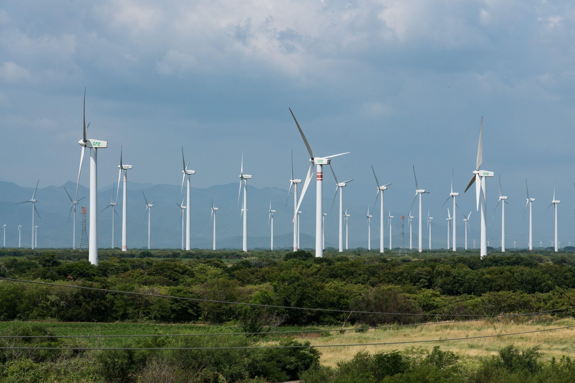 <p>Turbinas eólicas em Oaxaca, México. Investimento em energia limpa é uma das soluções para zerar as emissões líquidas, de acordo com o Banco Interamericano de Desenvolvimento (Imagem: Jon G. Fuller/VWPics / Alamy)</p>