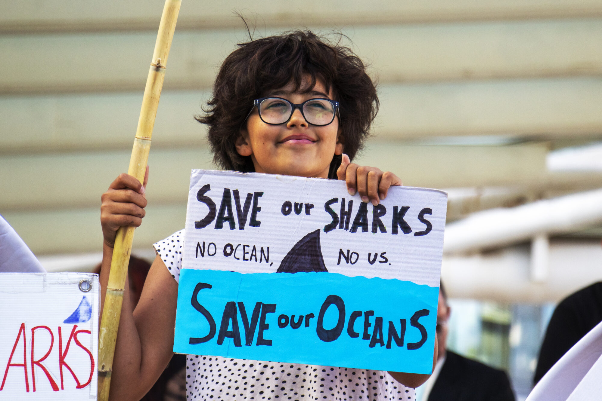 Una niña con un cartel que dice "salvemos a nuestros tiburones, salvemos a nuestros océanos"