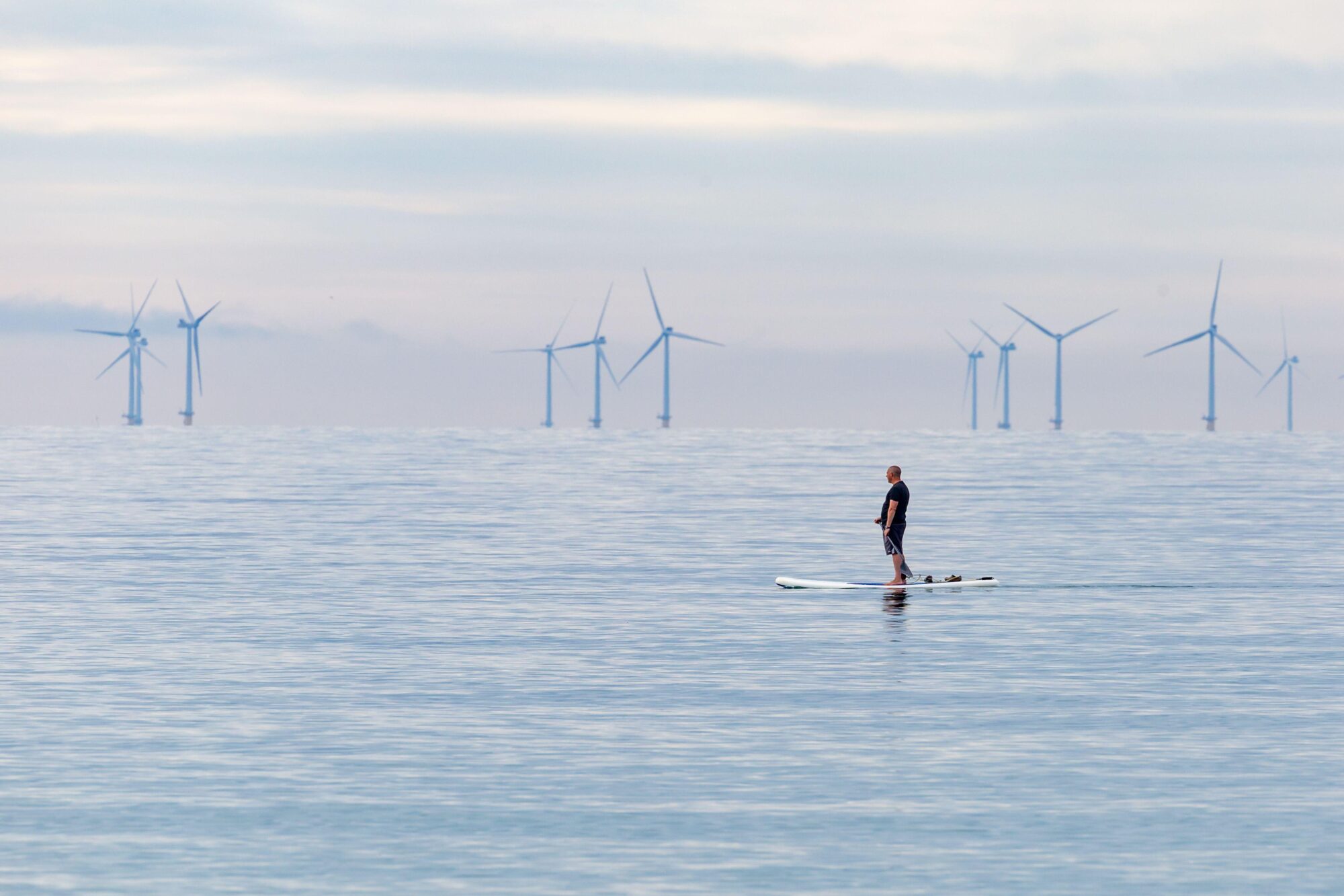 Uma pessoa em pé em uma prancha olha para um parque eólico offshore