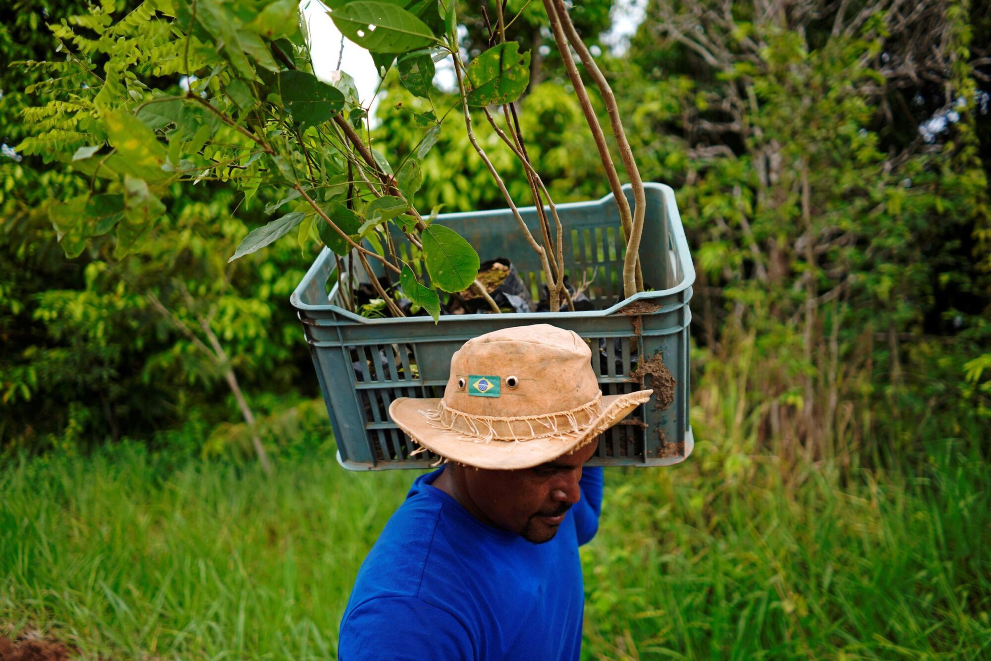 uma pessoa carregando uma cesta de árvores para plantar