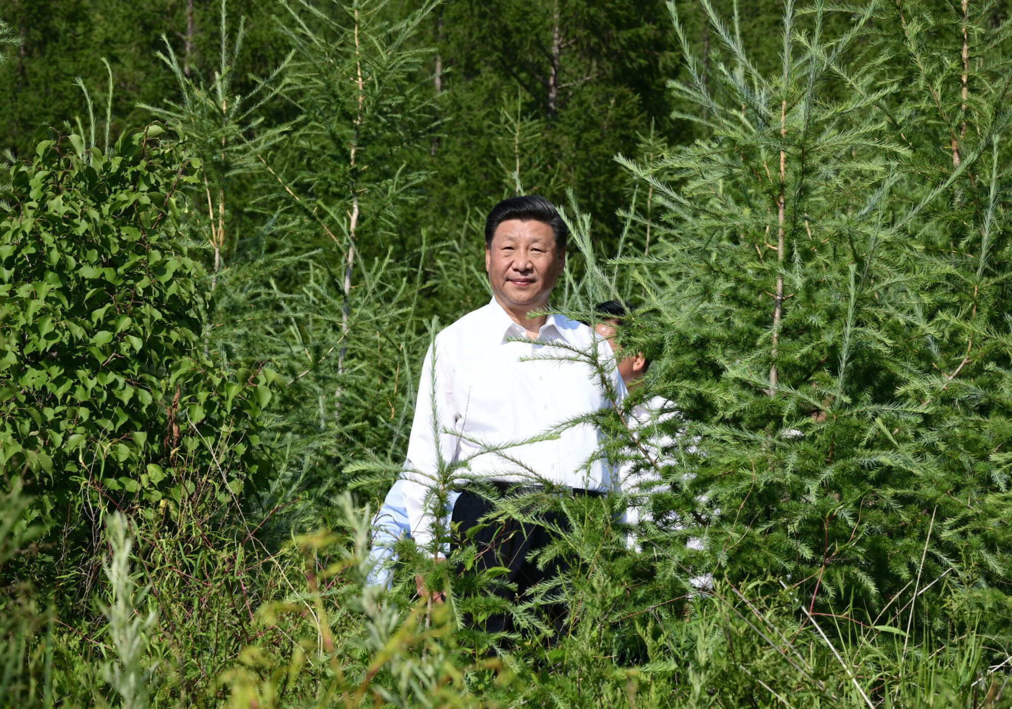 <p>Xi Jinping visita una granja forestal en la región autónoma china de Mongolia Interior en julio de 2019 para conocer los enfoques de la construcción de la &#8220;civilización ecológica&#8221;, un concepto que ha ganado una importante tracción política durante su presidencia (Imagen: Xinhua / Alamy)</p>