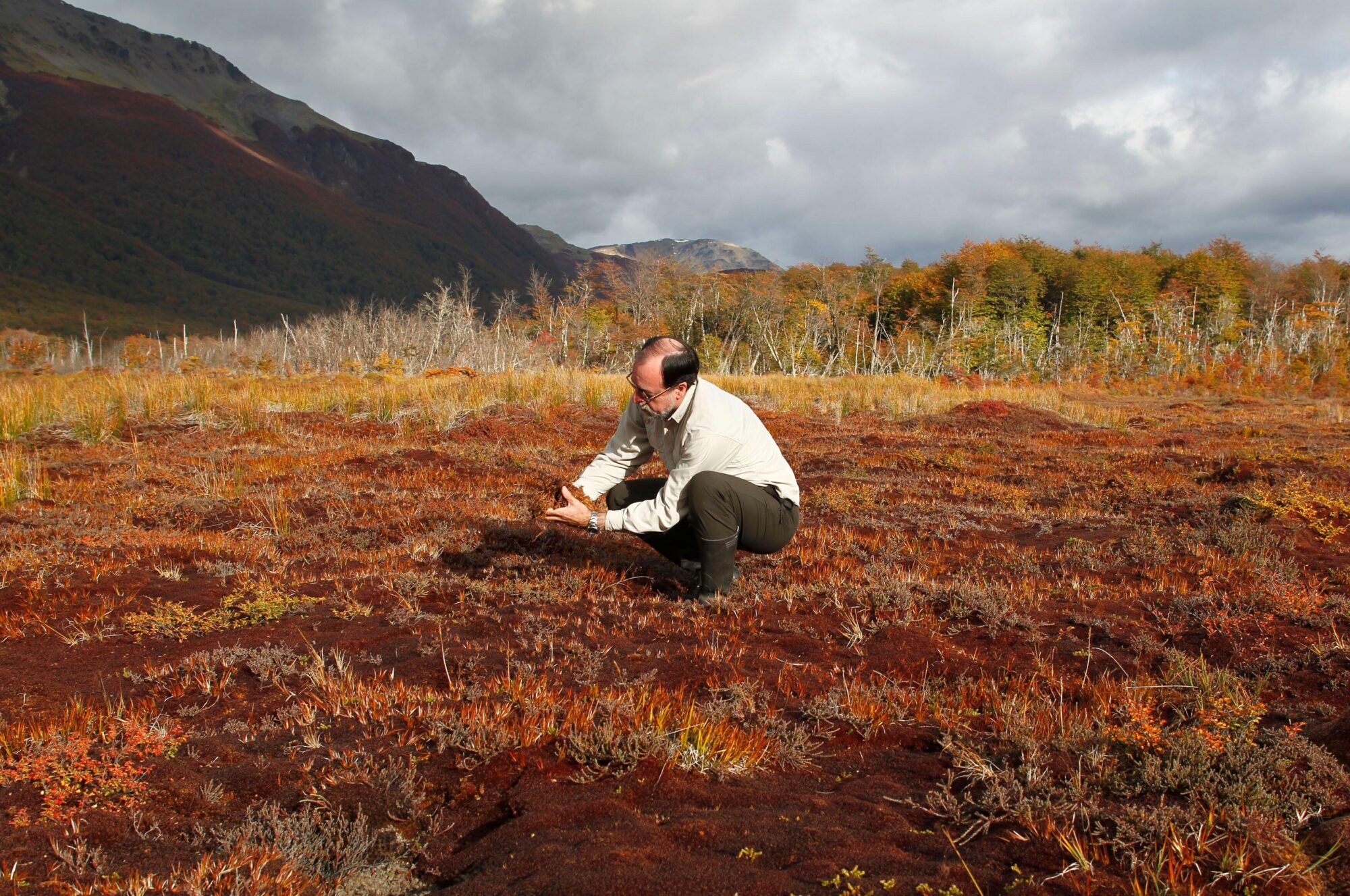 <p>Engineer Rodolfo Iturraspe, from the Argentine province of Tierra del Fuego’s water management agency, picks up samples of peat in wetlands. The global south is underrepresented in international climate science. (Image: Enrique Marcarian / Alamy)</p>