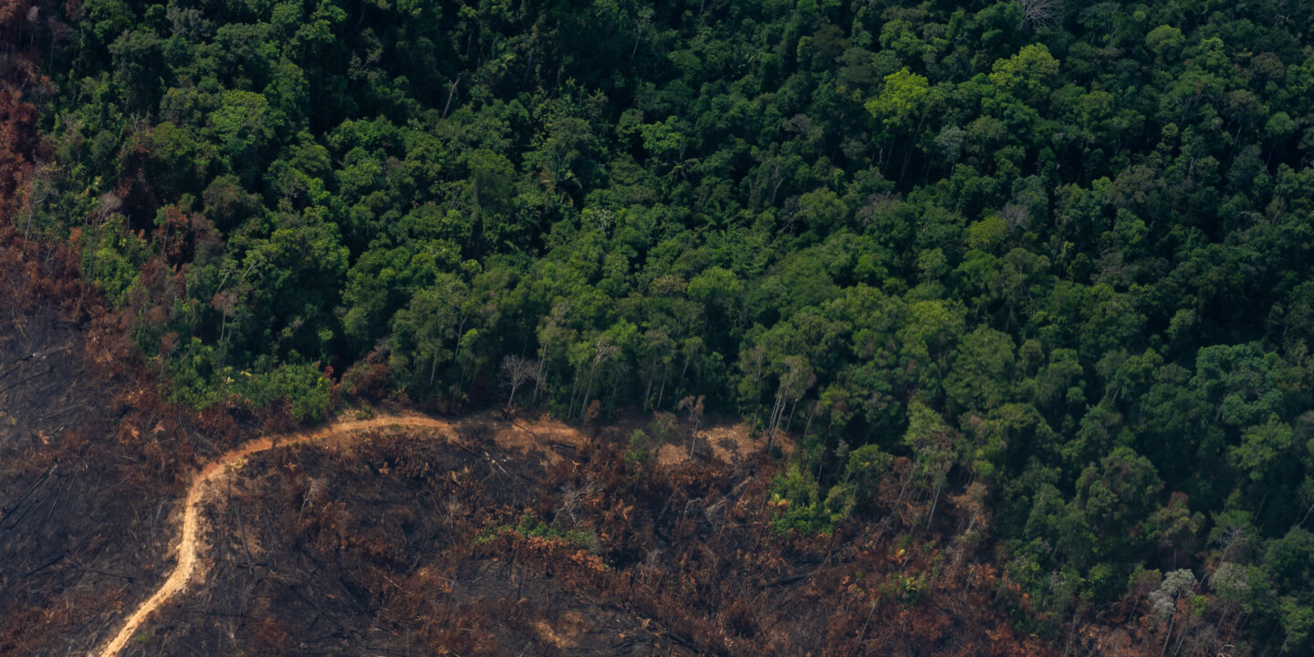 foto aérea de la deforestación en la amazonía brasileña