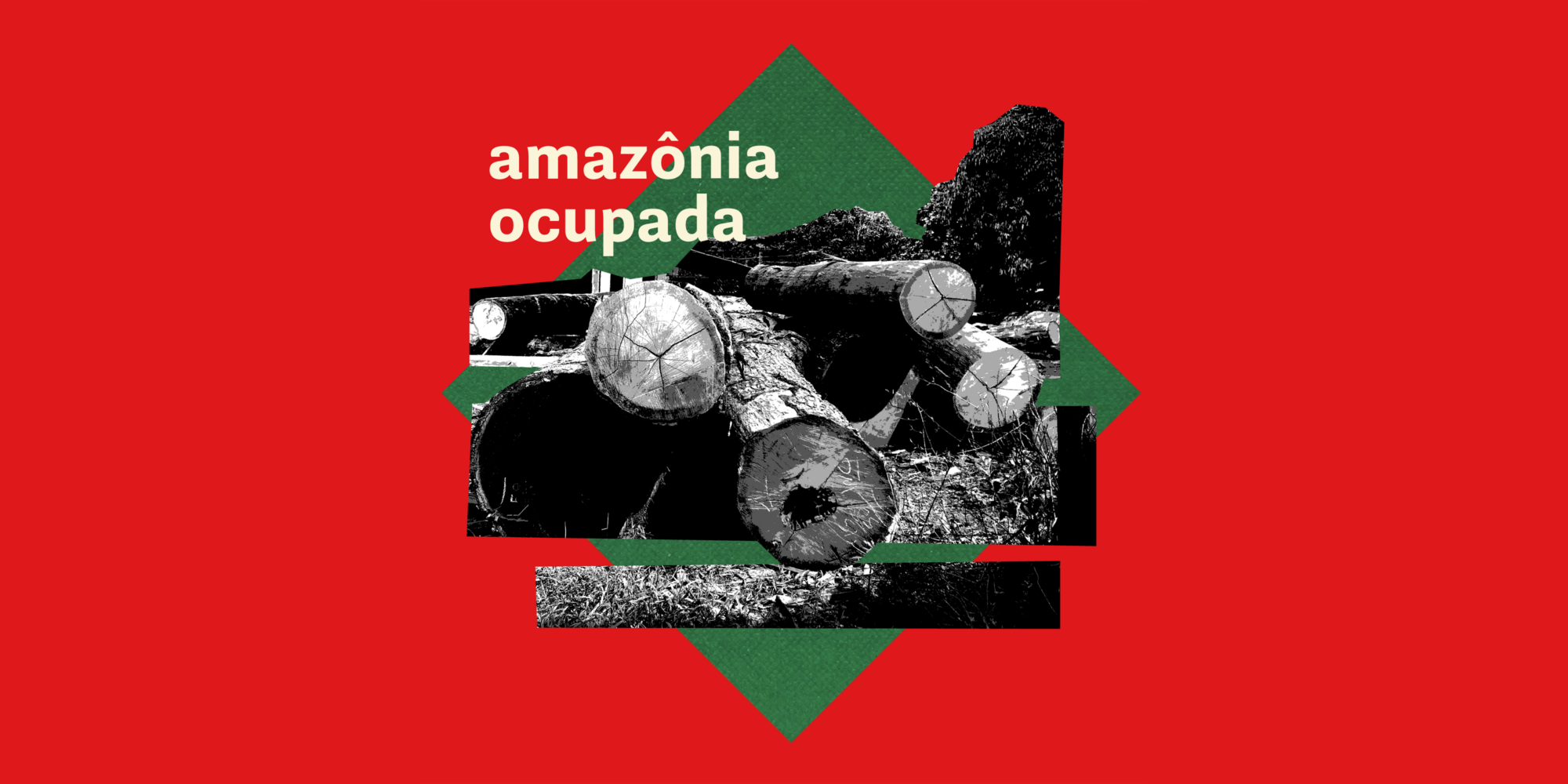gráfica amazonía ocupada capítulo 3 madera
