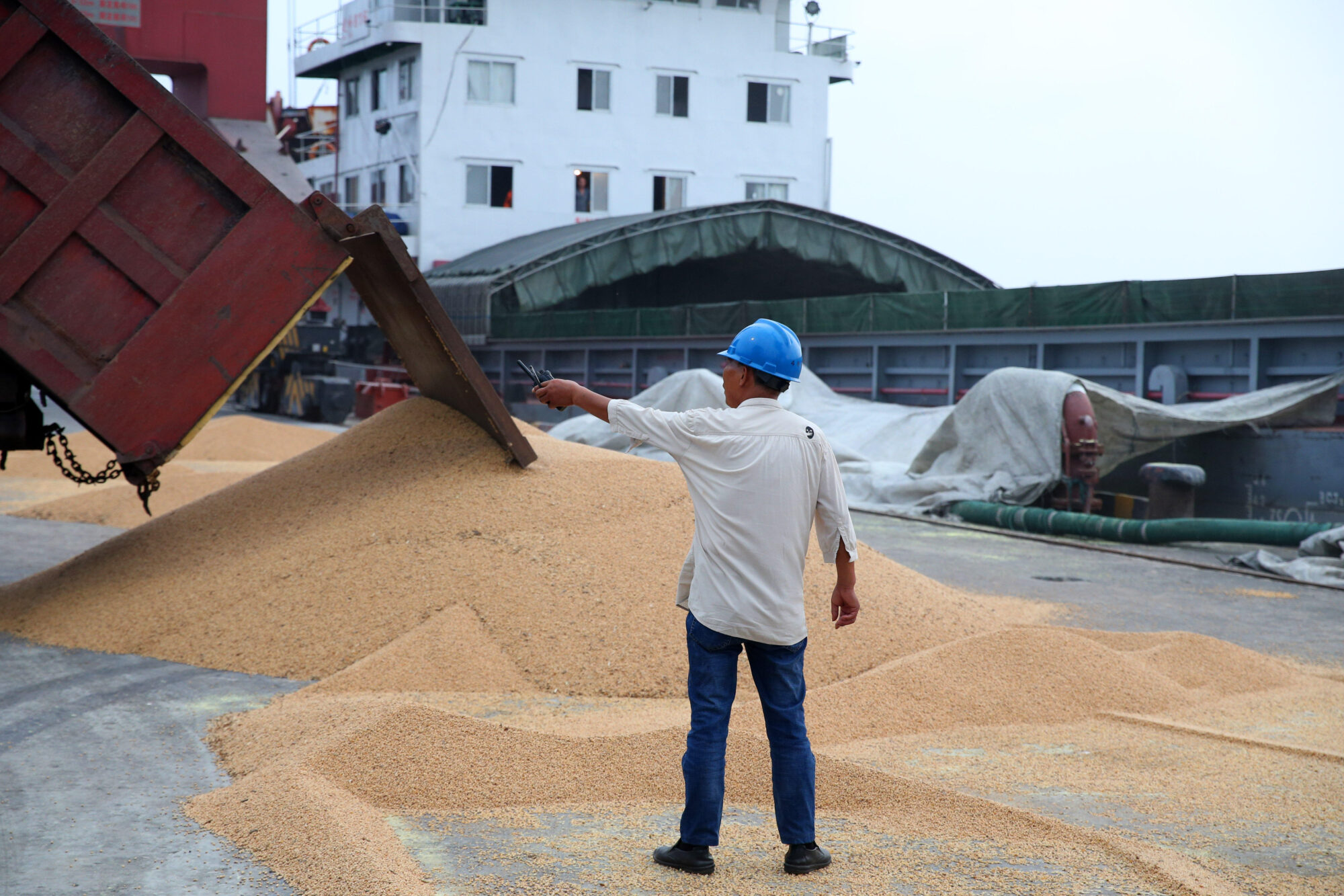 <p>Descarga de soja importada de Brasil en Nantong, en la provincia china de Jiangsu. Un nuevo estudio analiza la relación entre las normativas ambientales y sociales en la Amazonía, la inversión china y los cambios de precios (Imagen: Zuma Press / Alamy)</p>