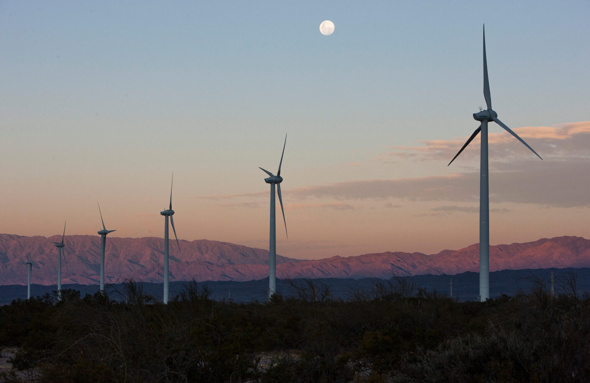 <p>A wind farm in La Rioja province, Argentina. Renewable energy projects have been the most popular activities in Argentina to be registered in carbon markets (Image: Martin Zabala / Xinhua / Alamy)</p>