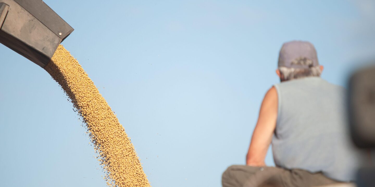 Trabajador mira granos de soja