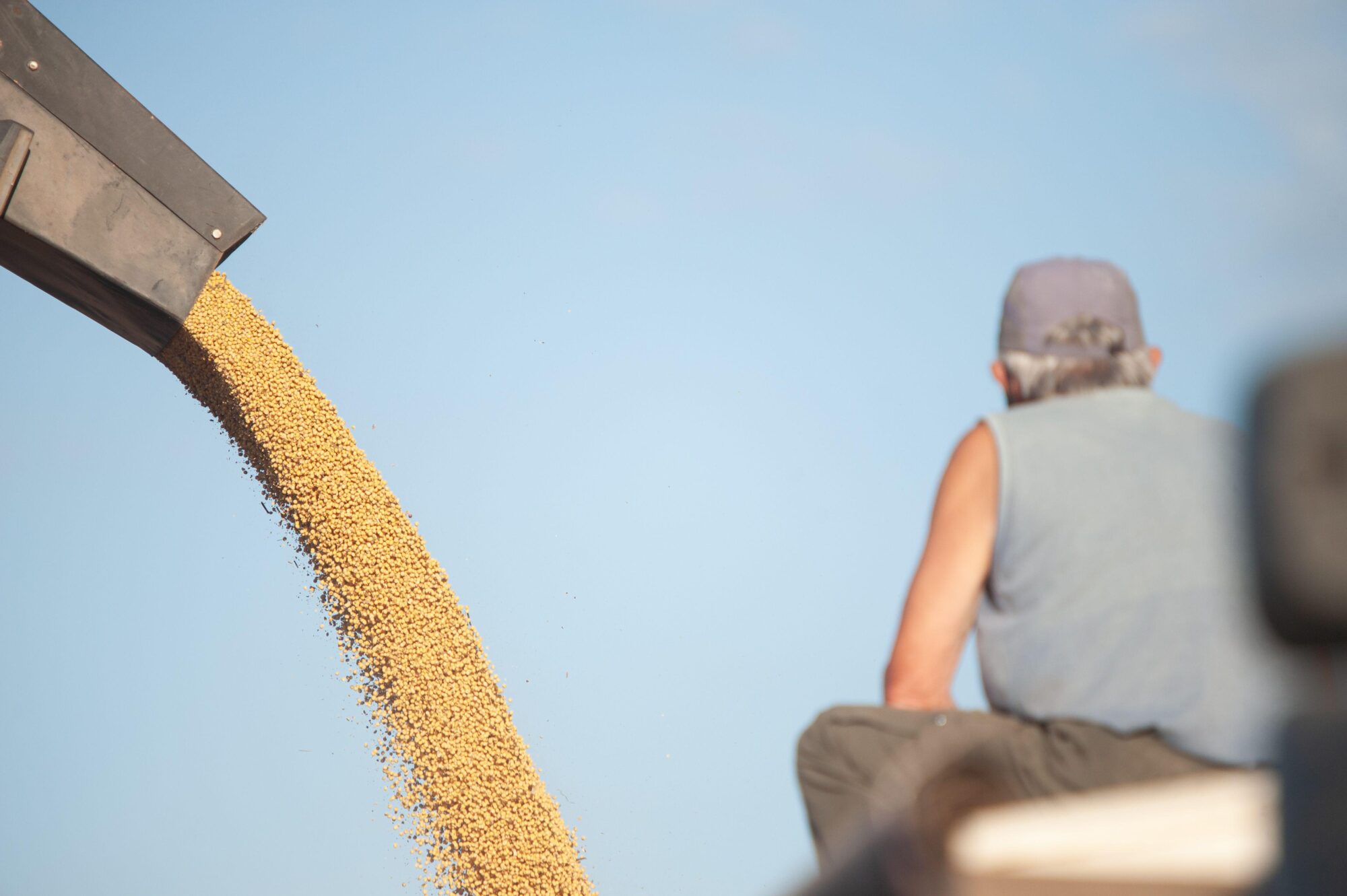 trabalhador observa grãos de soja
