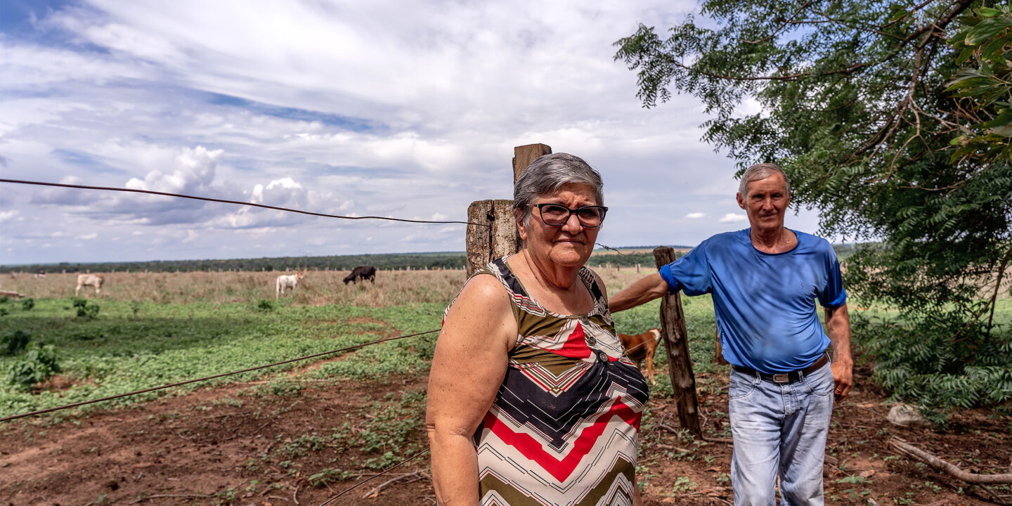 <p>Hace dos décadas, Evanir y Danilo Pertile emigraron a Querência, en la región amazónica de Brasil, para empezar a trabajar la tierra. Ahora, las plantaciones de soja son un desafío para los pequeños agricultores como ellos (Imagen: Flávia Milhorance)</p>