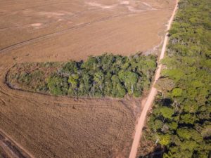 Aerial view of illegal Amazon deforestation inside soybean farm. Forest trees cut to open agriculture field. Concept of climate change, global warming