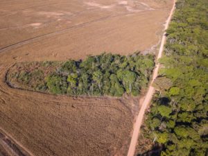 <p>Vista aérea de un área deforestada ilegalmente en una plantación de soja en la Amazonía brasileña en julio de 2022. Grupos ecologistas han afirmado que el acuerdo comercial UE-Mercosur corre el riesgo de generar más deforestación en los países del bloque sudamericano (Imagen: Alamy)</p>