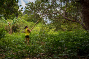 <p>Producción de pulpa de fruta en la Reserva Forestal Nacional de Tapajós, estado de Pará, Brasil (Imagen: <a href="https://flickr.com/photos/194505739@N06/51704394318/in/album-72157720176297044/">Flavio Forner</a> / <a href="https://flickr.com/photos/194505739@N06/51704394318/in/album-72157720176297044/">ASL Brasil</a>, <a href="https://creativecommons.org/licenses/by-nc/2.0/">CC BY NC</a>)</p>