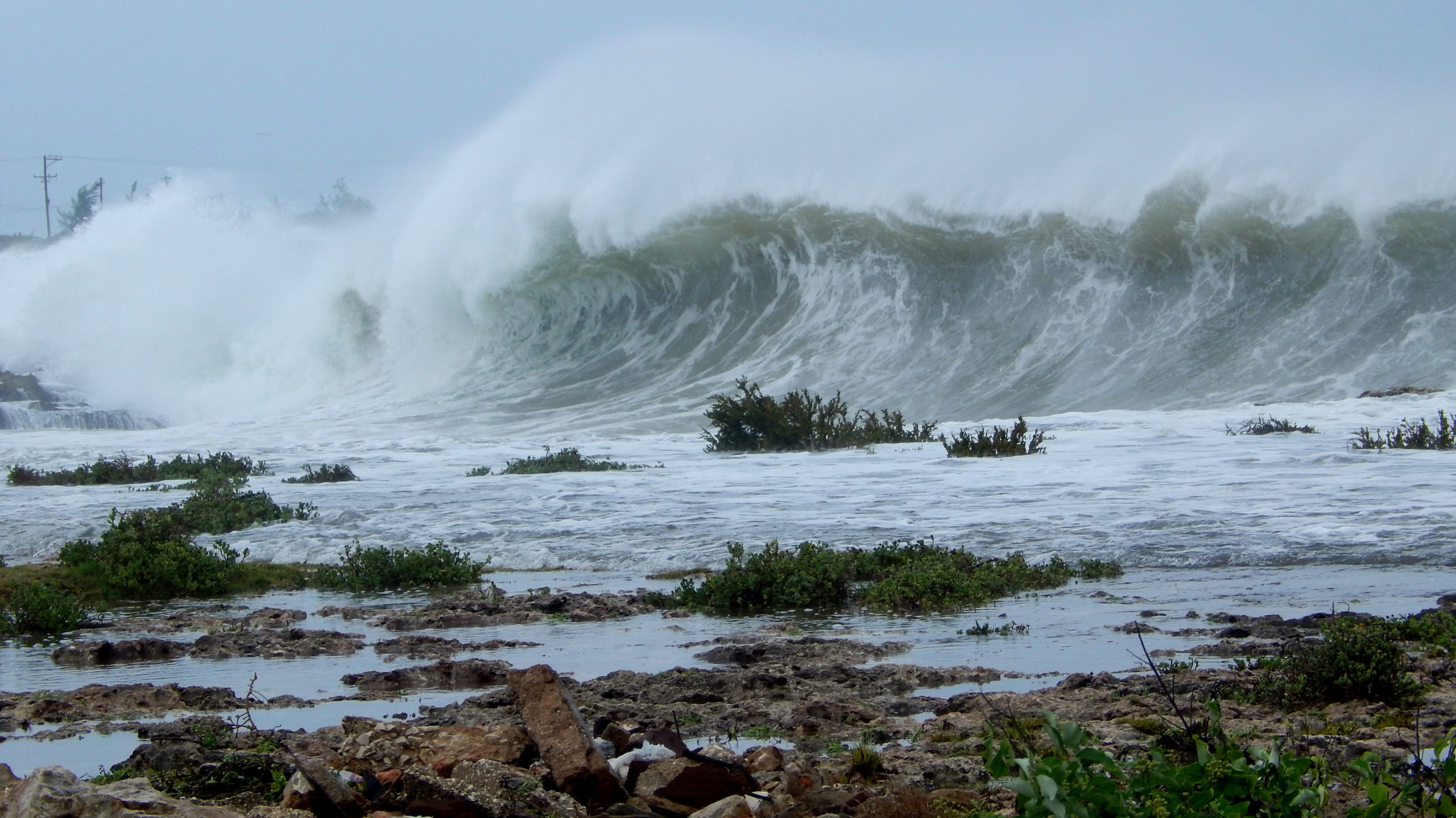 large waves seen from rocky shore