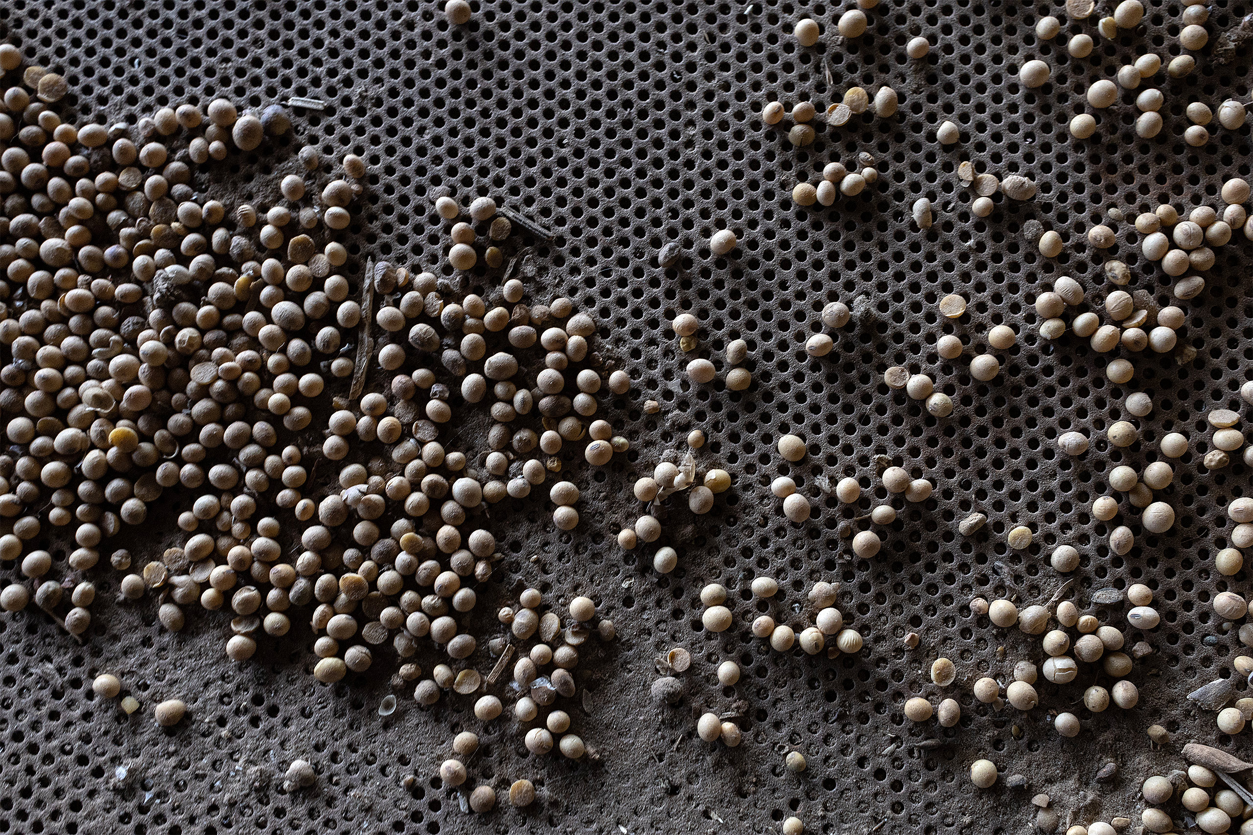 Close up of soybeans on a brown table