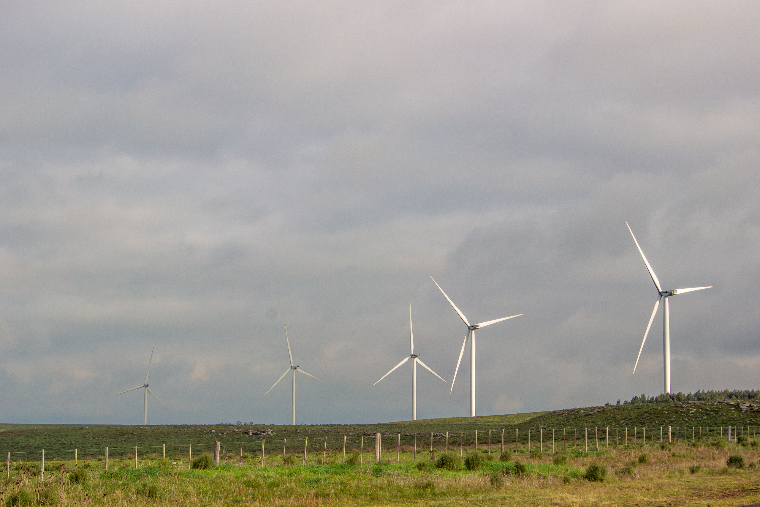 row of wind turbines on dark, cloudy day