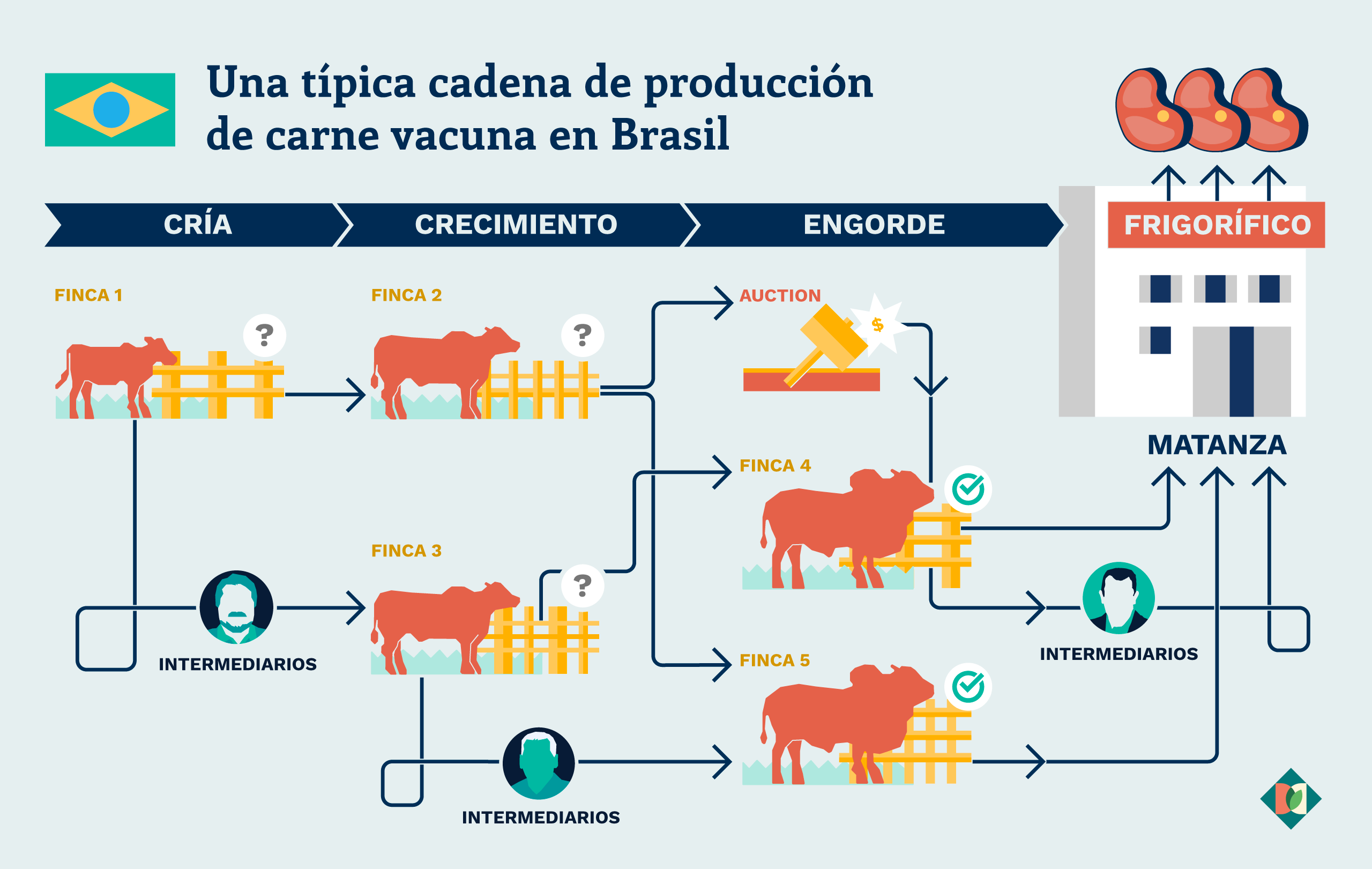 Gráfico que representa la cadena de suministro de carne vacuna de Brasil
