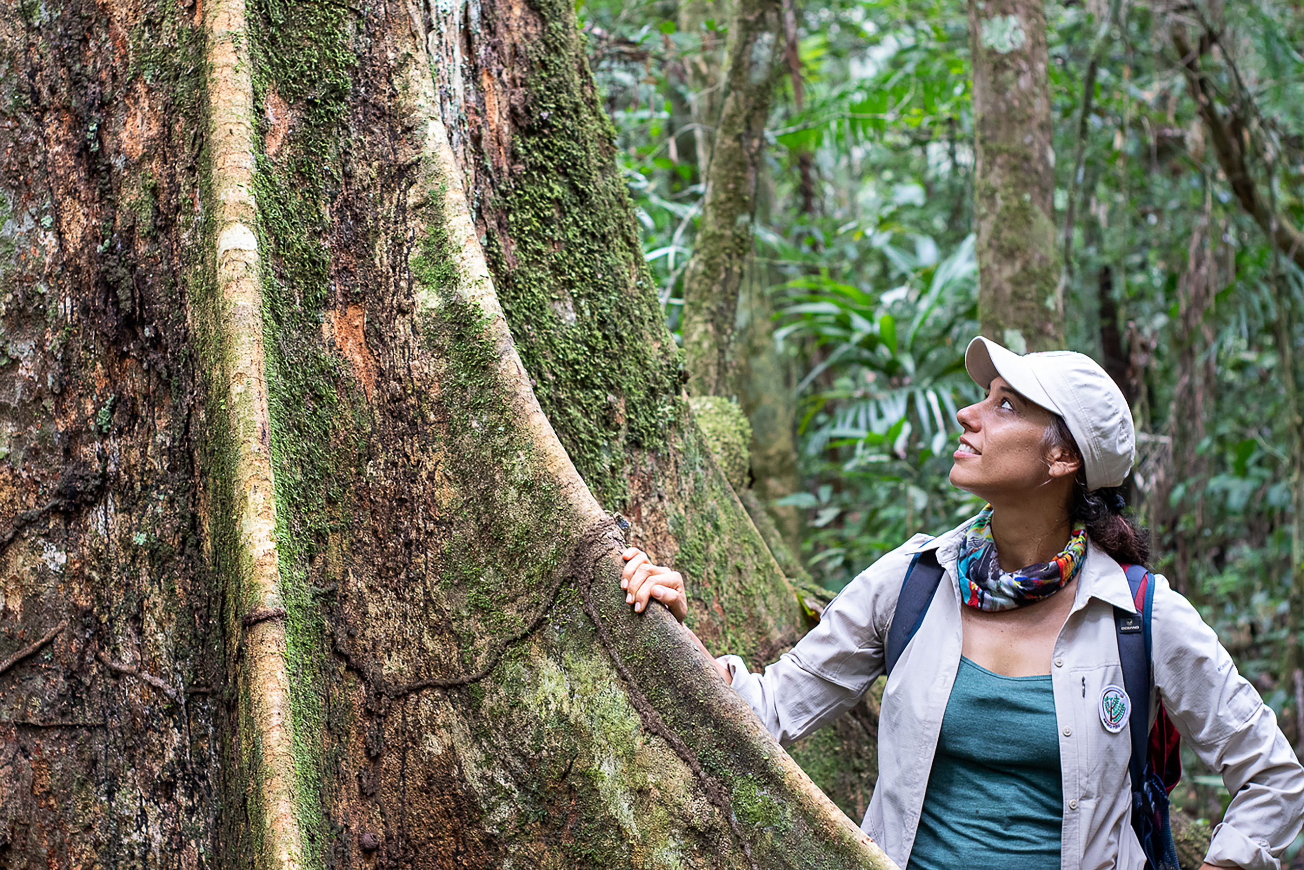 A woman standing next to a giant ancient trees in Amazon forest