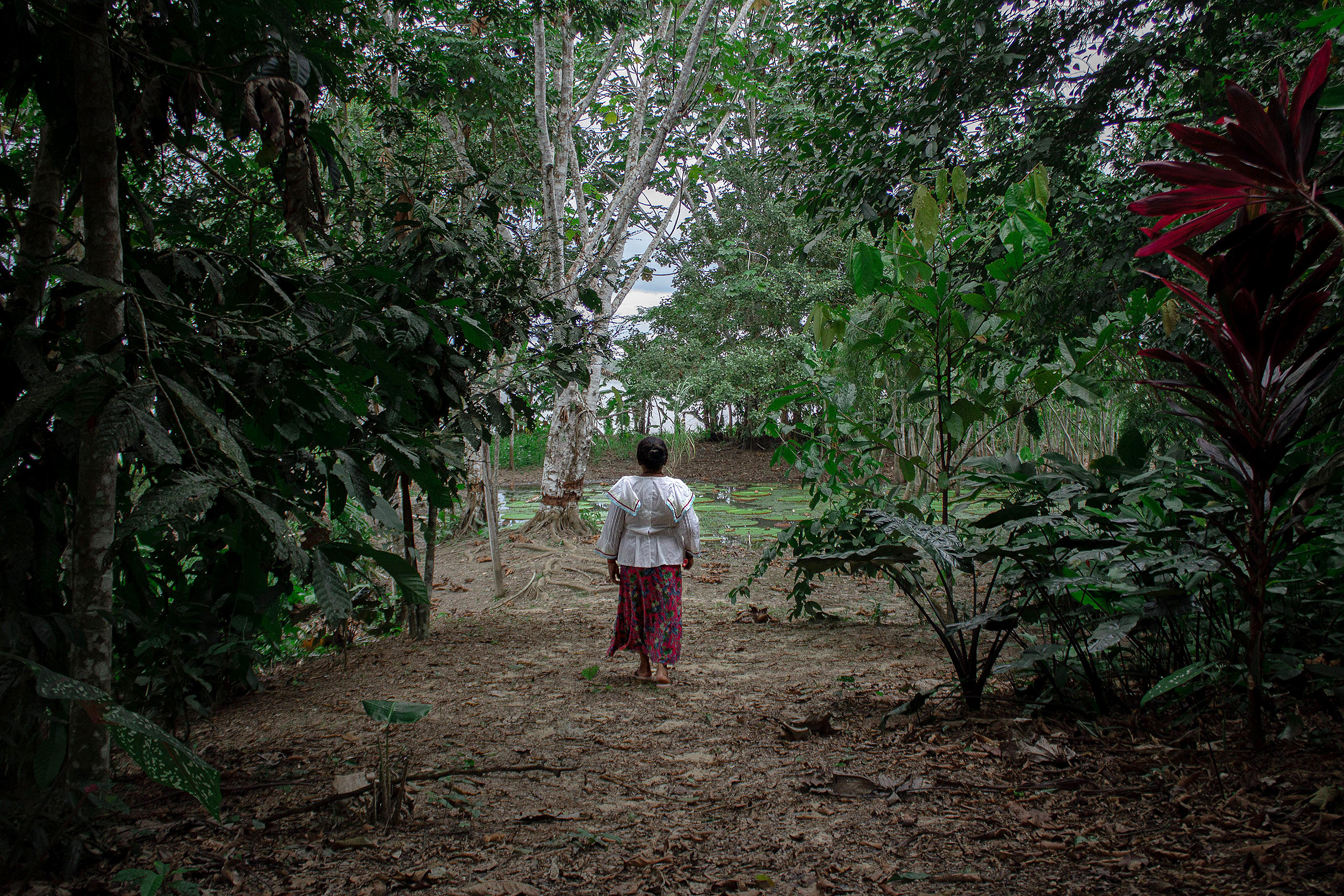 Una mujer, de espaldas, caminando por un bosque