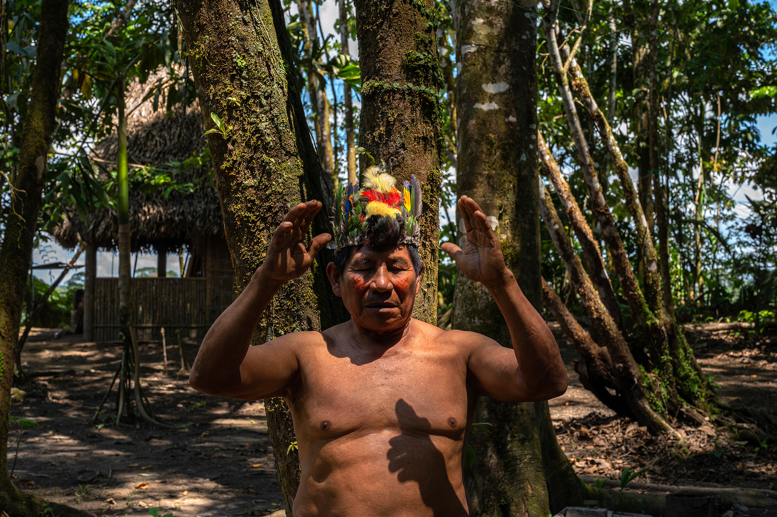 shirtless man wearing colourful feather crown