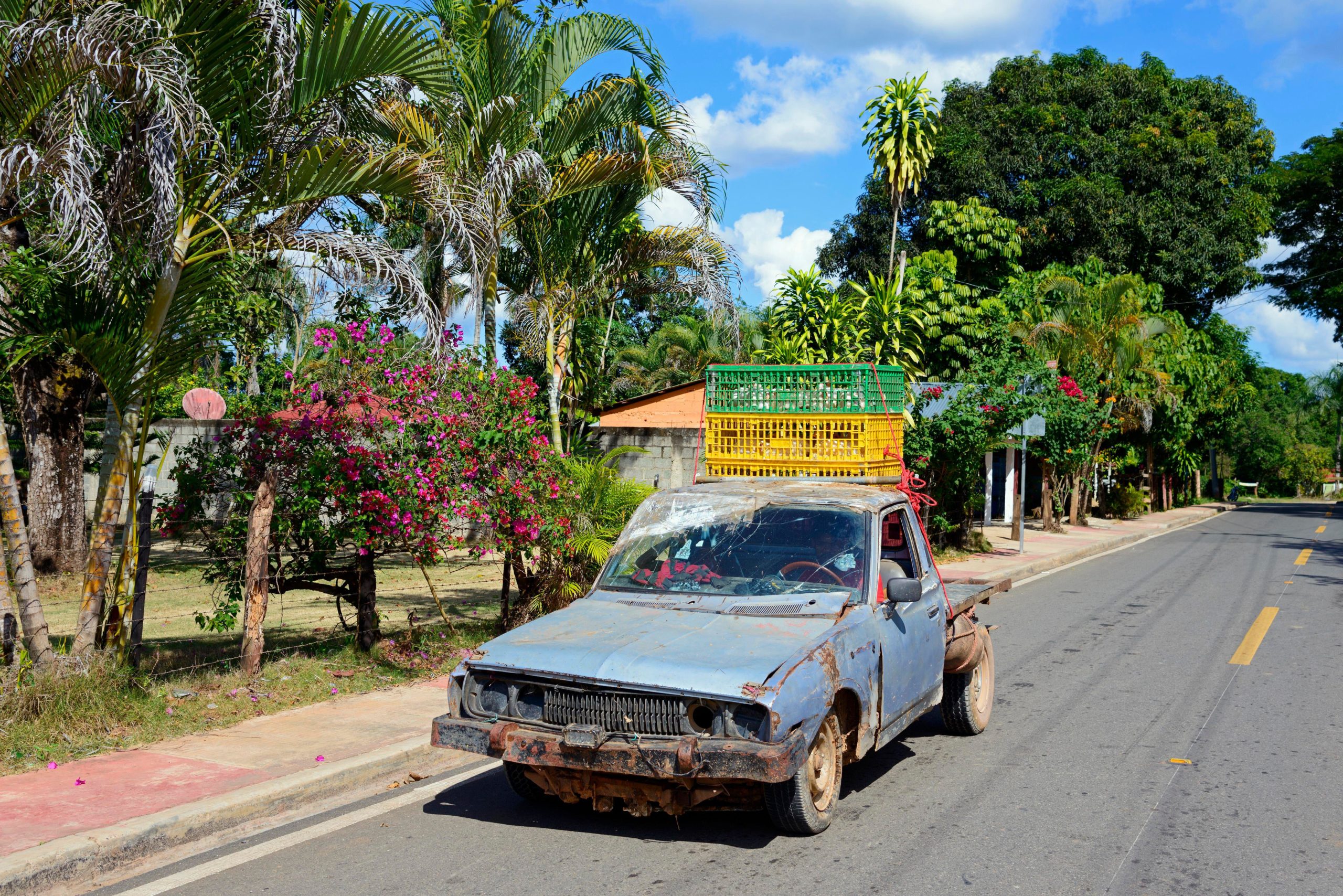 old car on road lined with tropical plants 