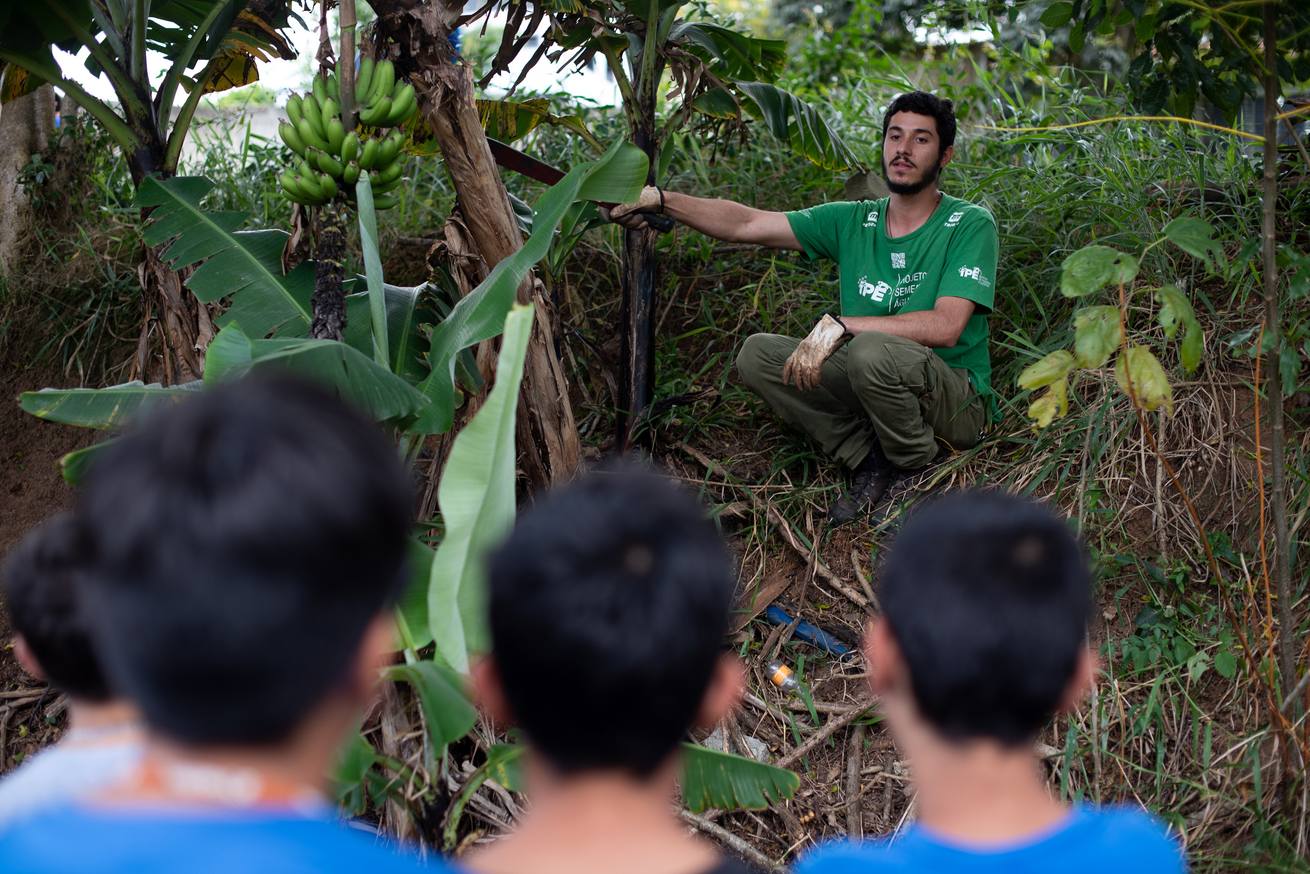 a man teaches students techniques for planting banana trees 