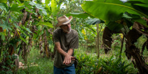<p>Agricultor Dercílio Pupin explica métodos agroflorestais que tem usado desde 2013 para restaurar solos degradados em sua propriedade em Piracaia, São Paulo (Imagem: Lucas Ninno / Diálogo Chino)</p>