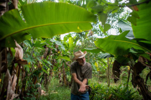 <p>Farmer Dercílio Pupin explains the agroforestry methods he has used since 2013 to restore degraded soils on his land in Piracaia, São Paulo state, Brazil (Image: Lucas Ninno / Diálogo Chino)</p>
