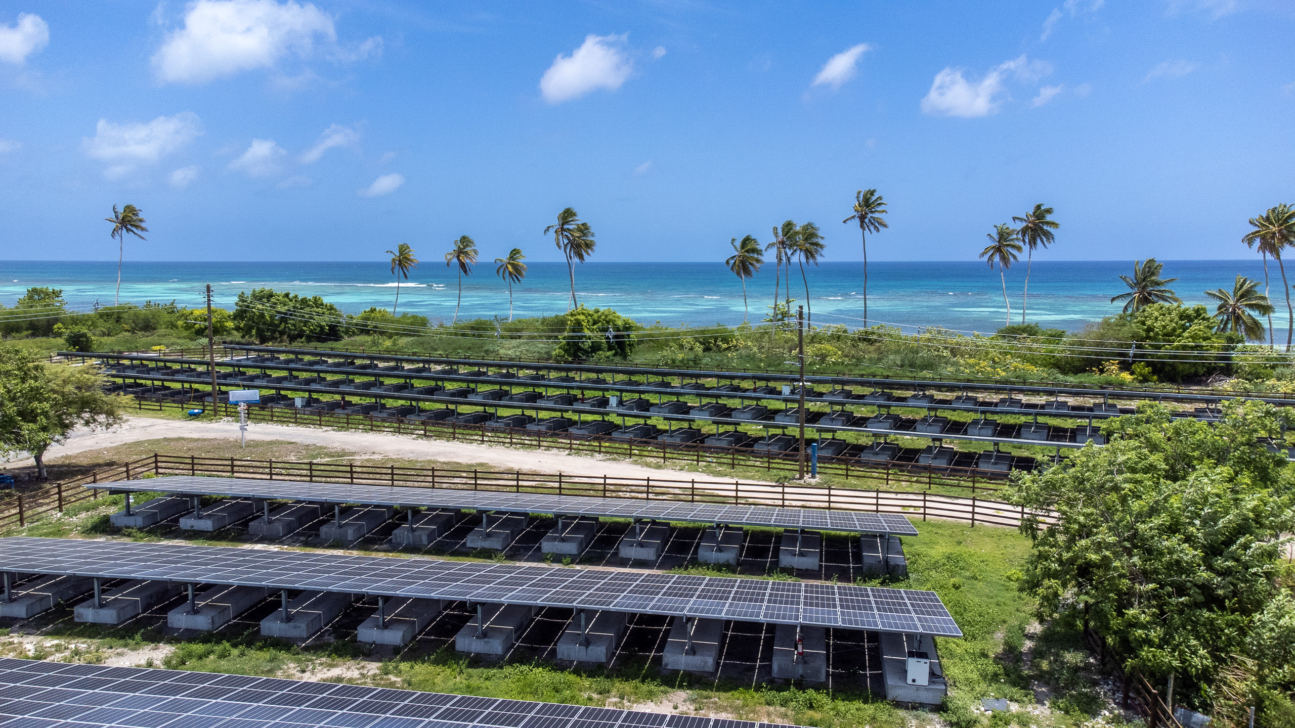hileras de paneles solares con cocoteros alrededor y el mar de fondo