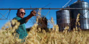 <p>Sergio Rubin, a retired researcher from the Agricultural Research Foundation of Rio Grande do Sul, stands in one of his oat fields in Júlio de Castilhos, southern Brazil. He grows oats as a cover crop to keep moisture and nutrients in the soil in between soy seasons. (Image: Daniel Marenco / Diálogo Chino)</p>