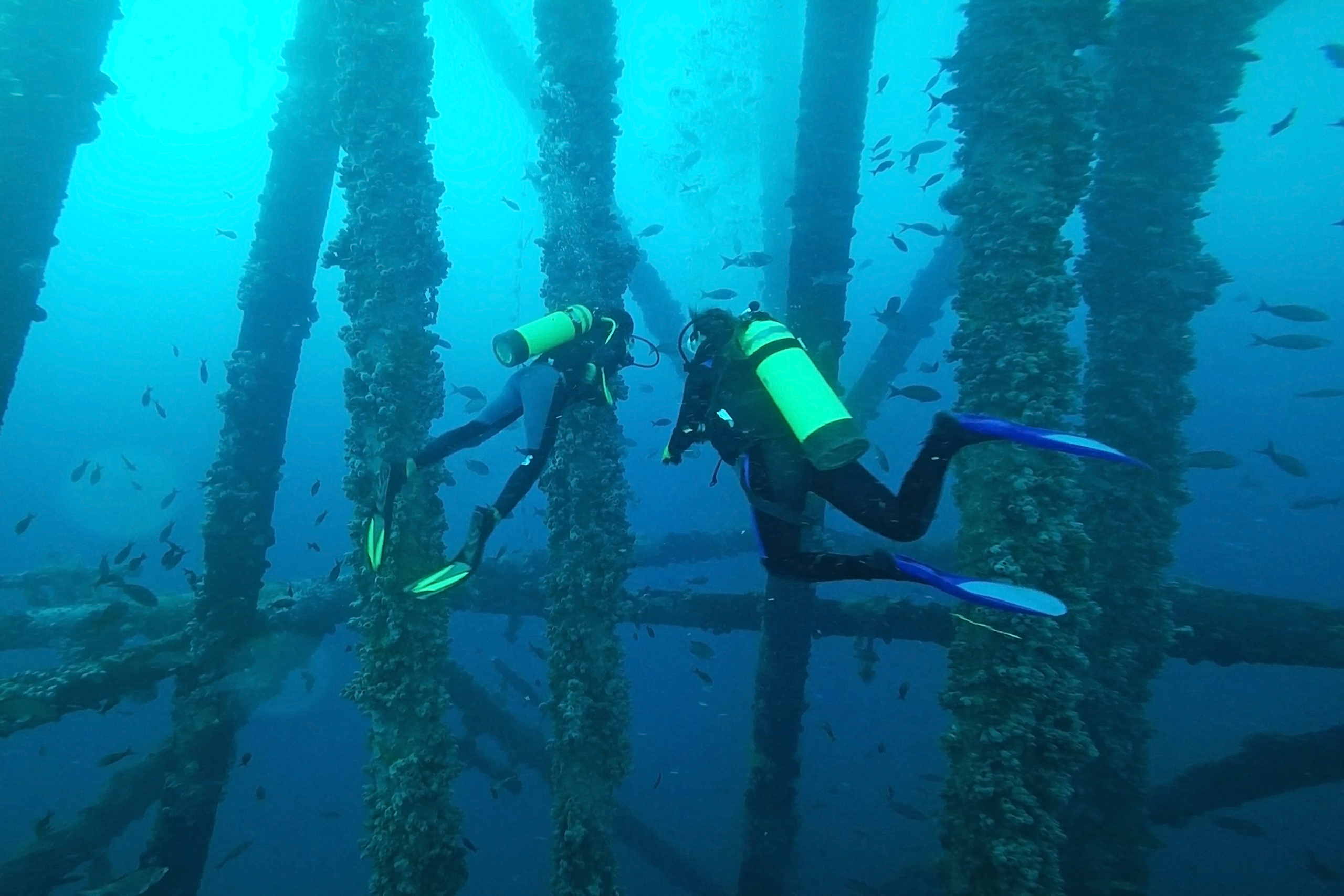 two divers near underwater manmade structure