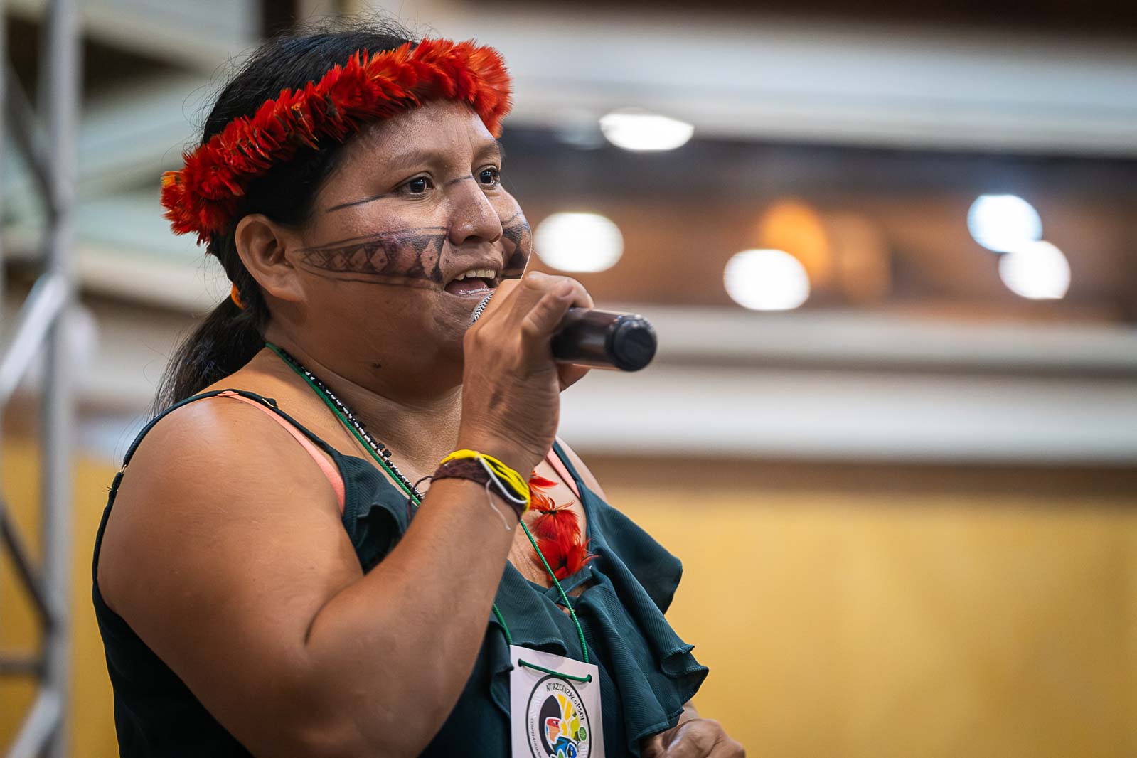 Maria Leusa Kaba, líder indígena do povo Munduruku