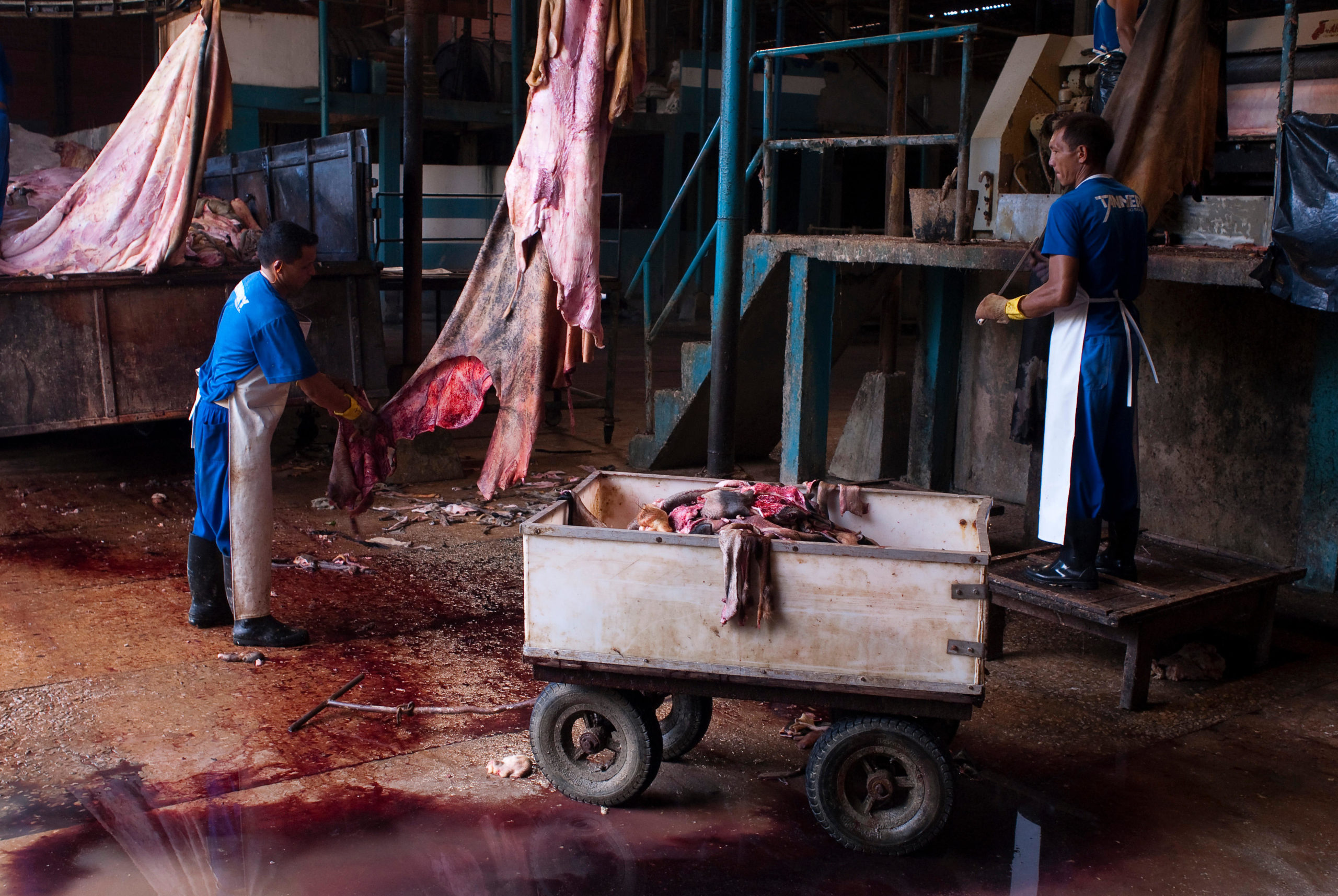 two men in workshop with strung up animal skins and bloody floor