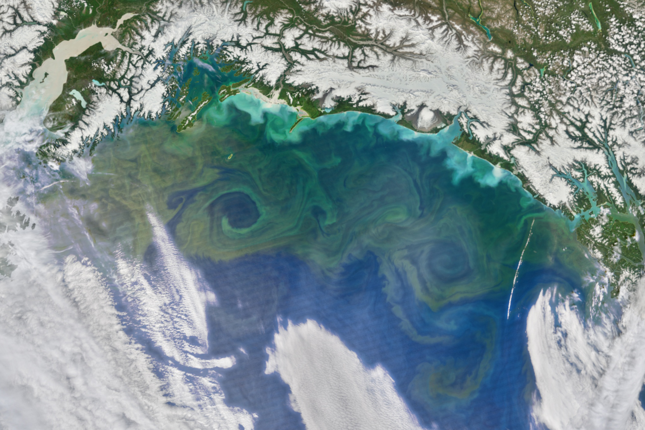 Imagem de satélite mostra redemoinhos verdes, indicando o crescimento natural de fitoplânctons no Golfo do Alasca, Estados Unidos