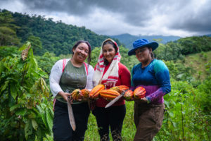 three women holding cocoa pods in forested area