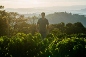 <p>Felipe Barretto Croce, propietario de Fazenda Ambiental Fortaleza en Mococa, estado brasileño de São Paulo. Dado que las condiciones meteorológicas extremas son cada vez más frecuentes, es probable que la producción de café en Brasil se vea gravemente afectada (Imagen: FAF)</p>