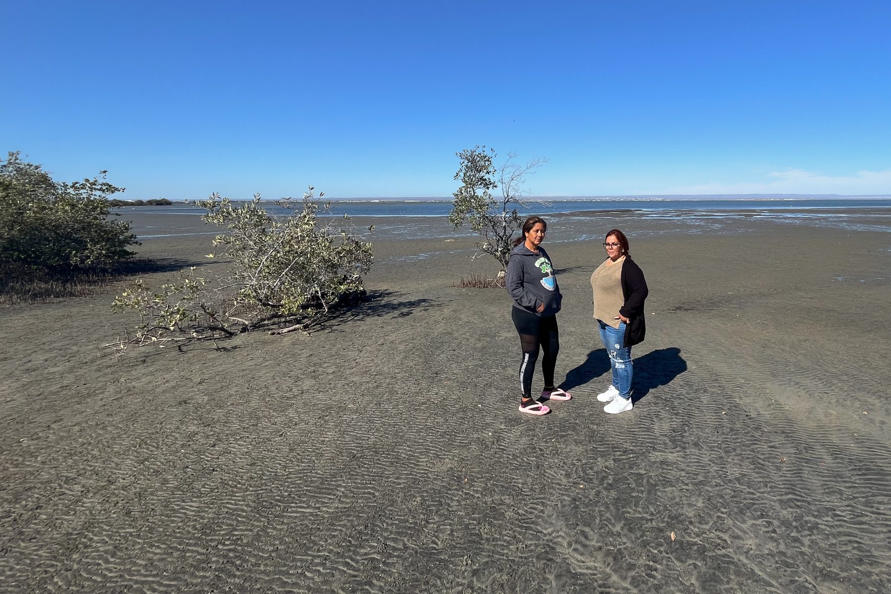 Two women standing on a beach near some mangrove trees