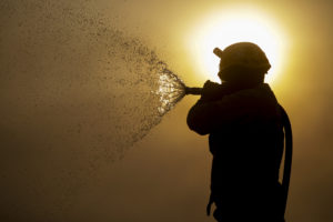 <p>A firefighter extinguishes flames during a forest fire in Porto Jofre, Mato Grosso state, Brazil, in November. The Pantanal biome has been hit by an abnormal number of fires this year, while the Brazilian Amazon has experienced a historic drought. (Image: Joédson Alves / Agência Brasil)</p>