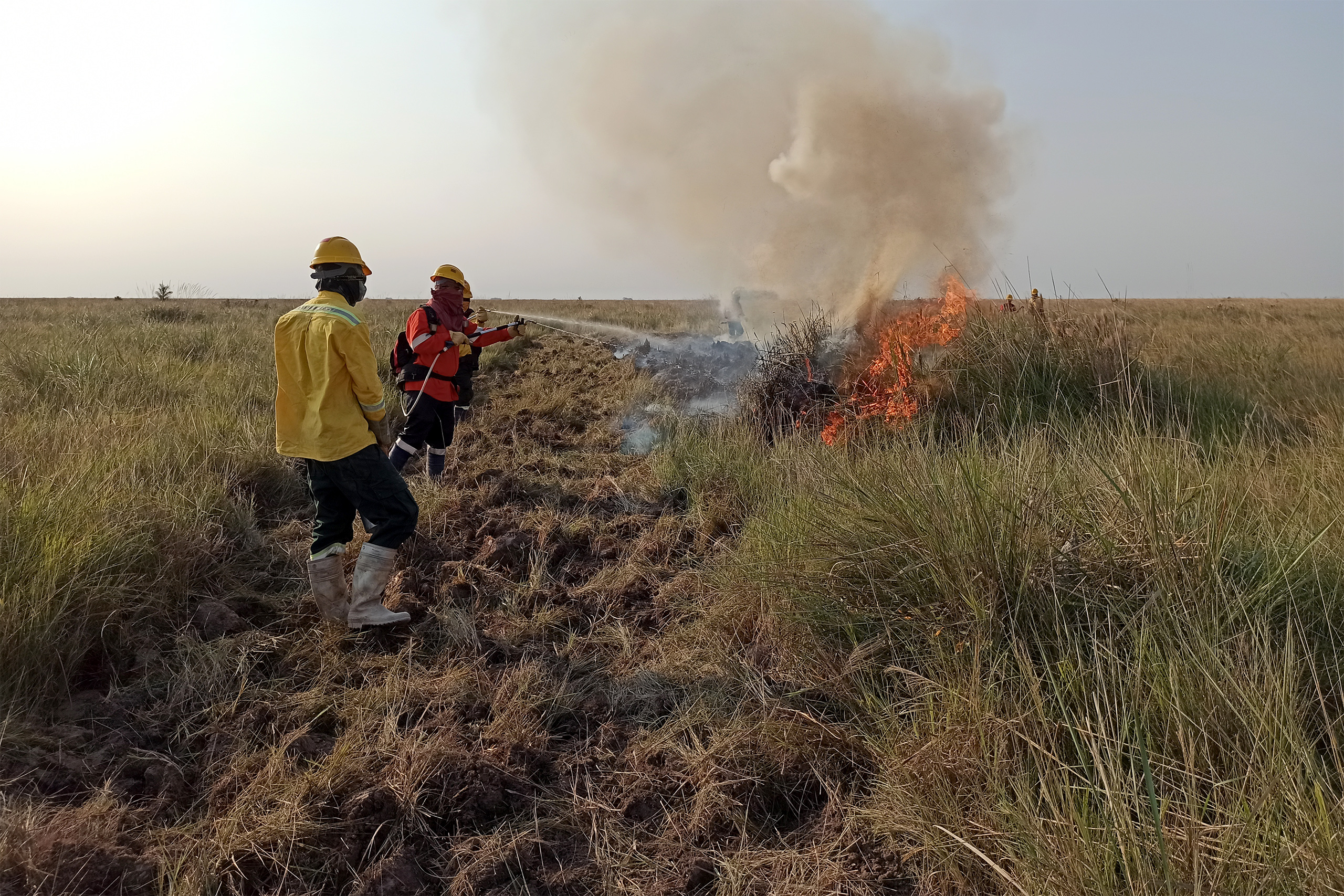 A organização Armonía realiza incêndios controlados e a rotação de pastagens na Reserva Barba Azul