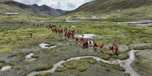 <p>Un grupo de personas se dirige a plantar <em>queñuales</em> (Polylepis) cerca del pueblo de Vilcanota, en la región de Cusco, Perú. Para algunos grupos de los Andes, las actividades comunales en torno a la plantación son tradiciones ancestrales (Imagen: Acción Andina)</p>