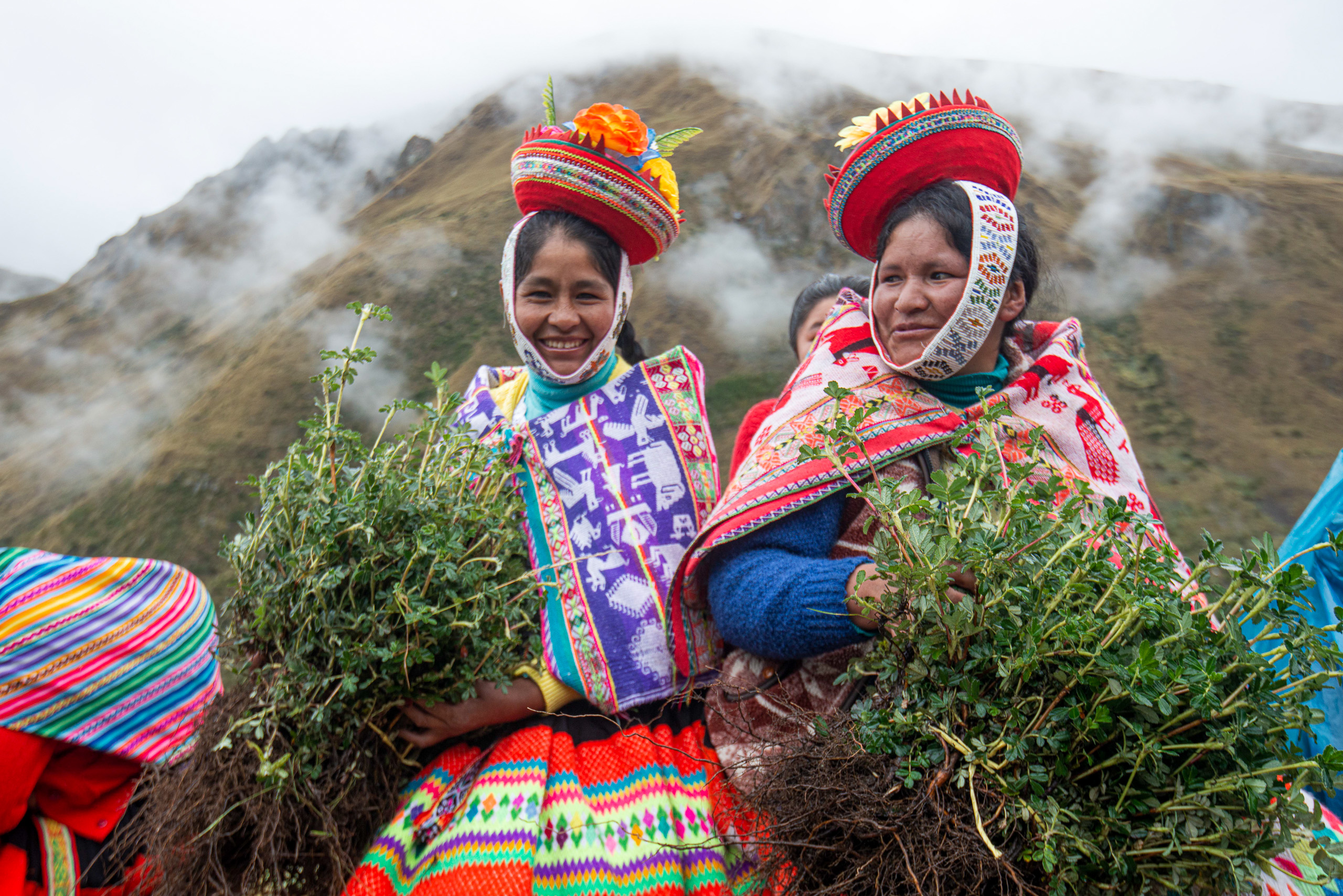 mujeres vestidas con trajes de colores sosteniendo plantas