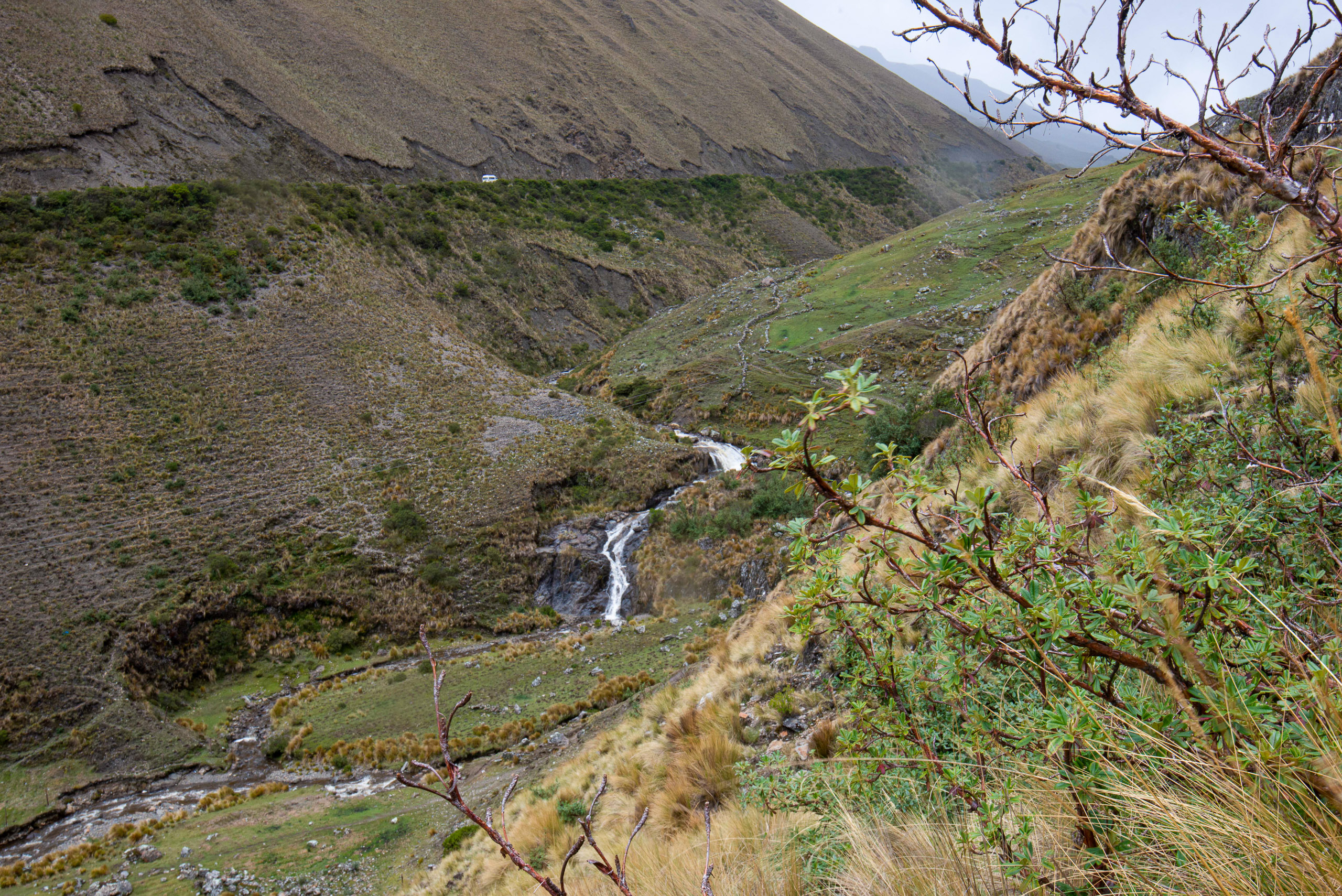 Comunidades ao redor de Cusco plantam queñual nas terras altas