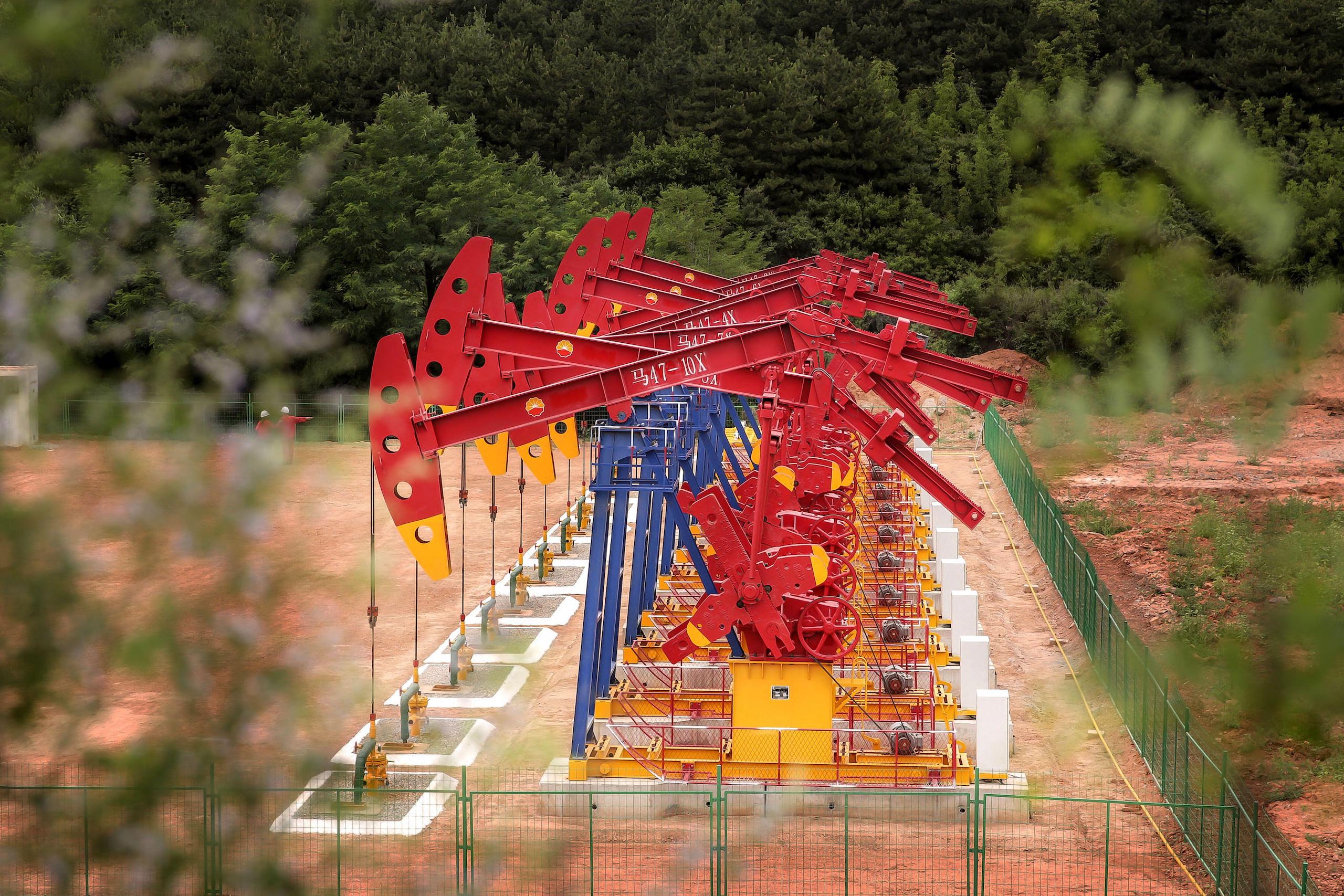 Fileira de máquinas de mineração vermelhas vistas através de árvores