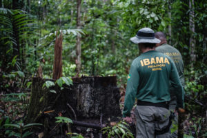 <p>Agentes ambientais do Ibama identificam área desmatada na Terra Indígena Pirititi, no estado de Roraima, em 2018. O desmatamento ilegal é uma das maiores ameaças à Amazônia (Imagem: <a href="https://flic.kr/p/27BCeuo">Felipe Werneck</a> / <a href="https://www.flickr.com/photos/ibamagov/">Ibama</a>, <a href="https://creativecommons.org/licenses/by-sa/2.0/">CC BY-SA</a>)</p>