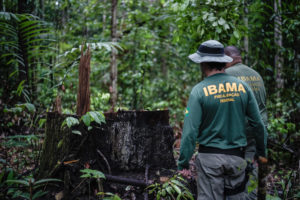 <p><span style="font-weight: 400;">Agentes medioambientales brasileños identifican zonas deforestadas en el territorio indígena Pirititi, en el estado de Roraima, en 2018. La deforestación ilegal es una de las mayores amenazas para la Amazonía (Imagen: </span><a href="https://flic.kr/p/27BCeuo"><span style="font-weight: 400;">Felipe Werneck</span></a><span style="font-weight: 400;"> / </span><a href="https://www.flickr.com/photos/ibamagov/"><span style="font-weight: 400;">Ibama</span></a><span style="font-weight: 400;">, </span><a href="https://creativecommons.org/licenses/by-sa/2.0/"><span style="font-weight: 400;">CC BY-SA</span></a><span style="font-weight: 400;">)</span></p>