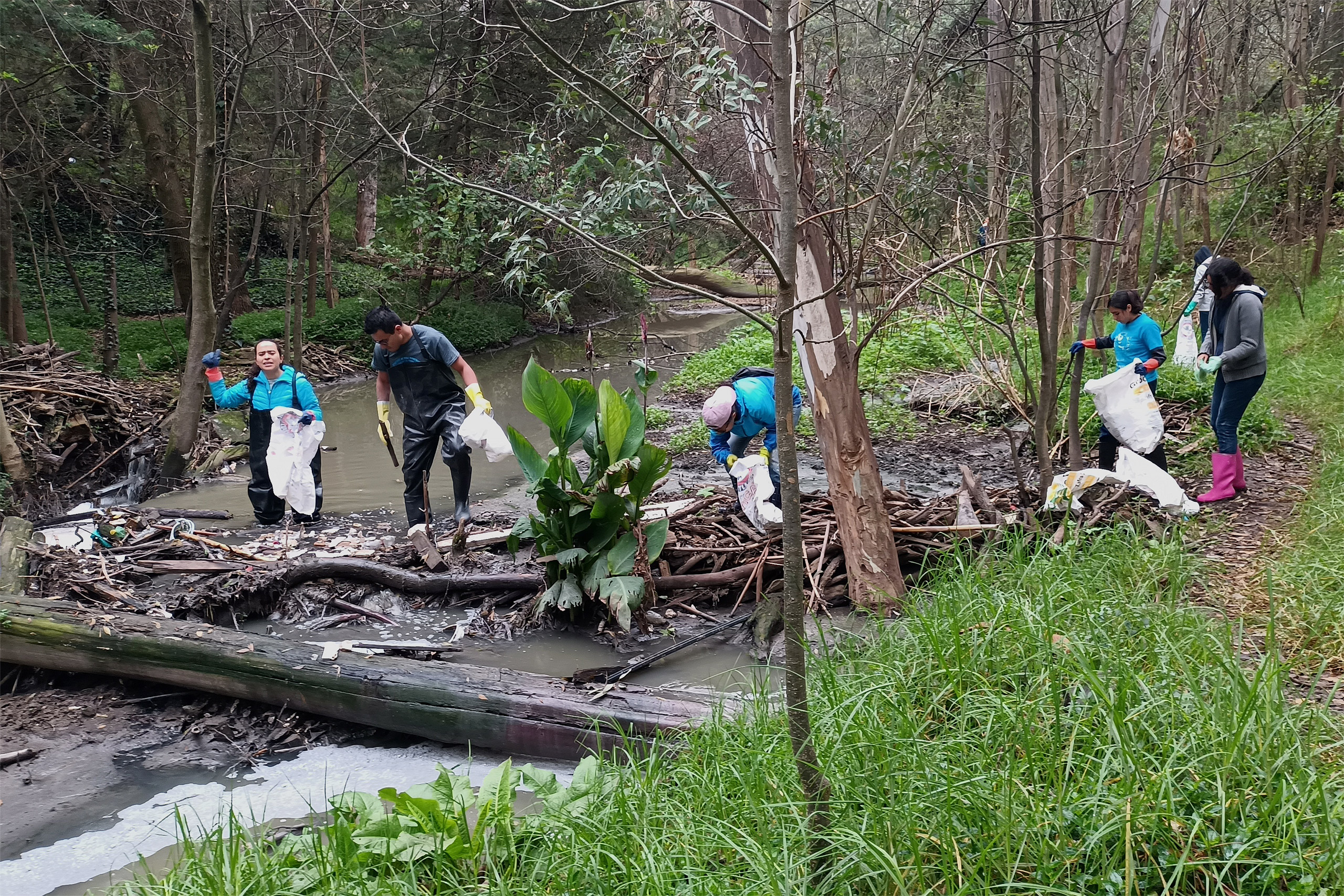Cinco personas limpiando un río
