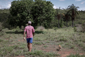 Man walking with dog near trees