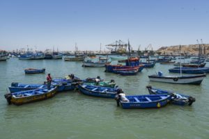 group of blue fishing boats in bay
