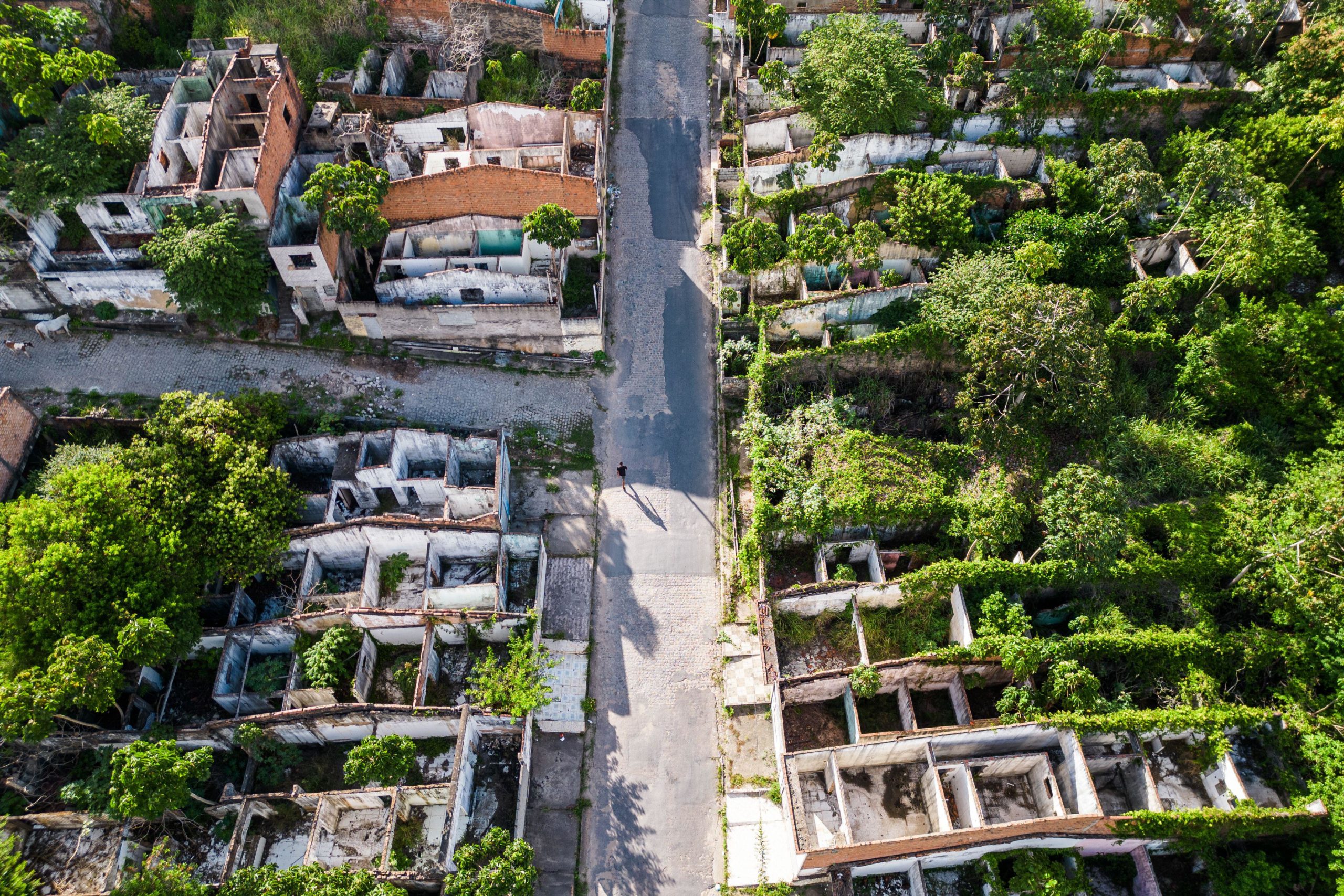 Vista aérea de casas abandonadas